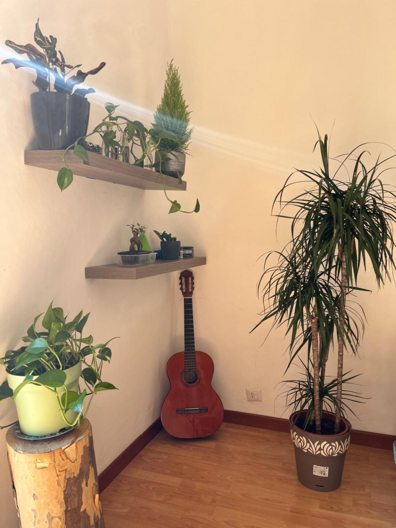 فندق Molis'S House ميلان المظهر الخارجي الصورة